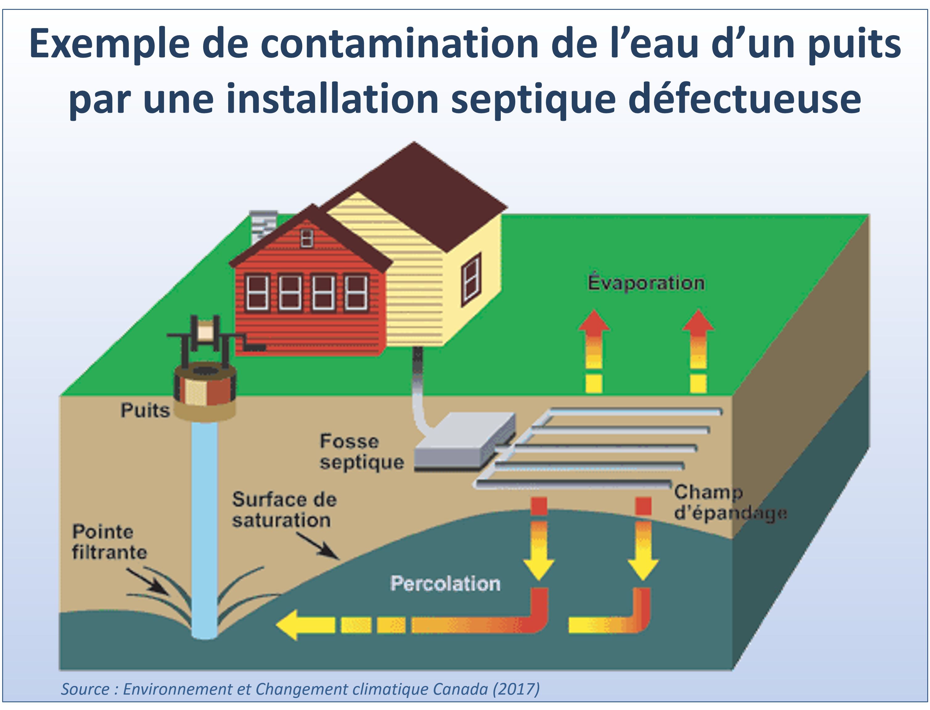 Exemple de contamination